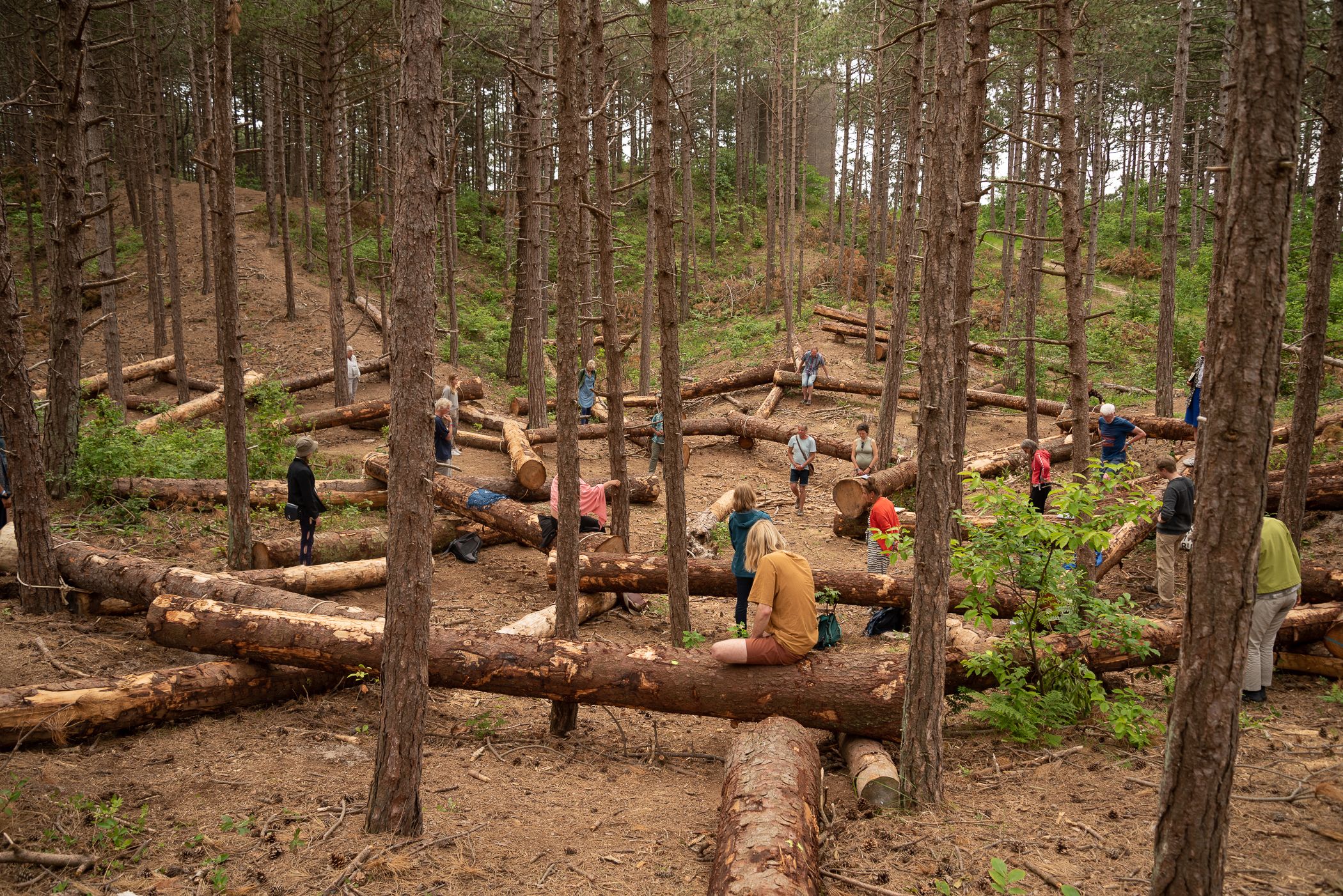 02.ElmoVermijs_AssemblyofTrees_Oerol_StanHeerkens_2022.jpg
