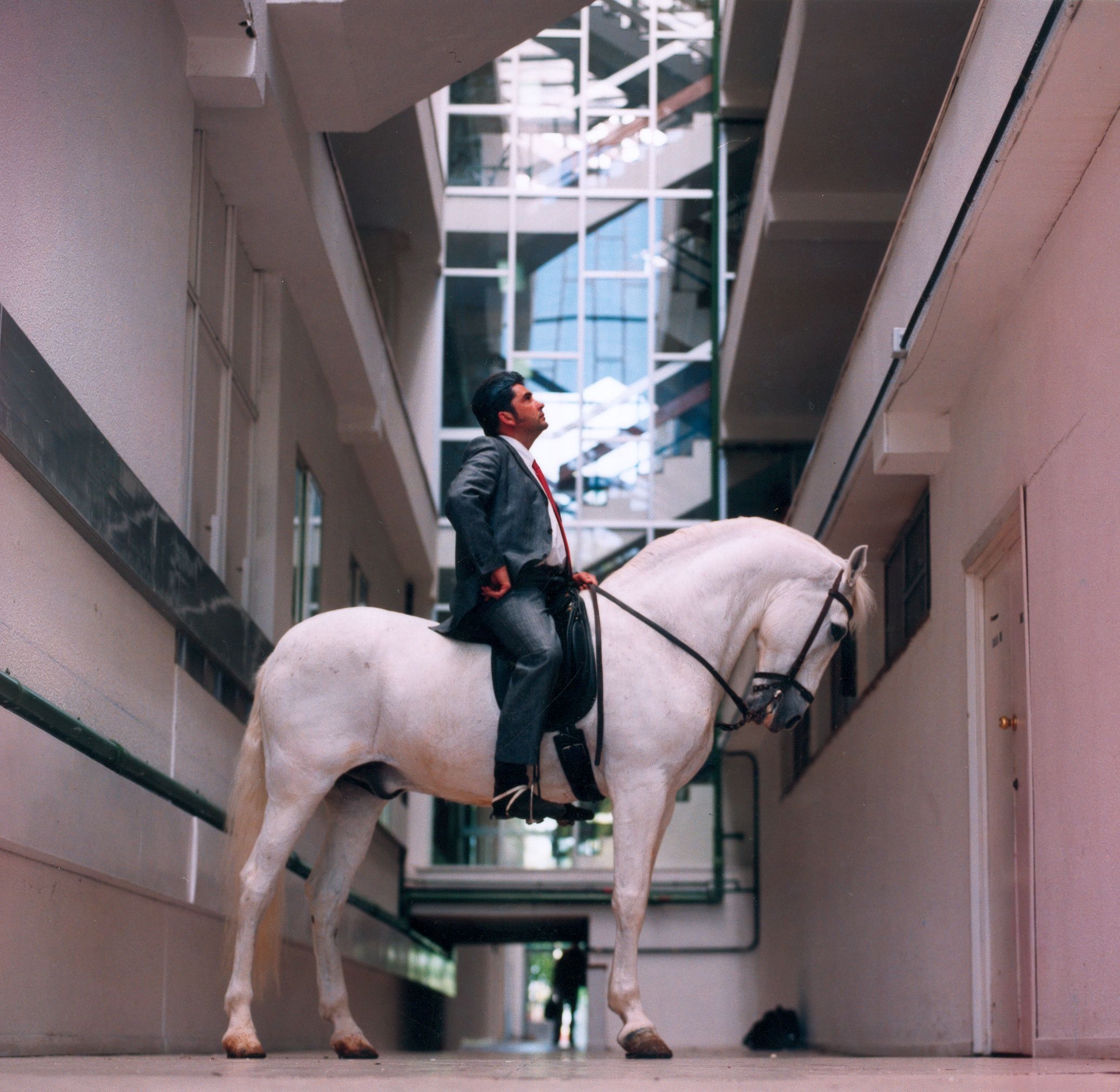 ARCHITECTURE FOR THE HORSE 2000.jpg
