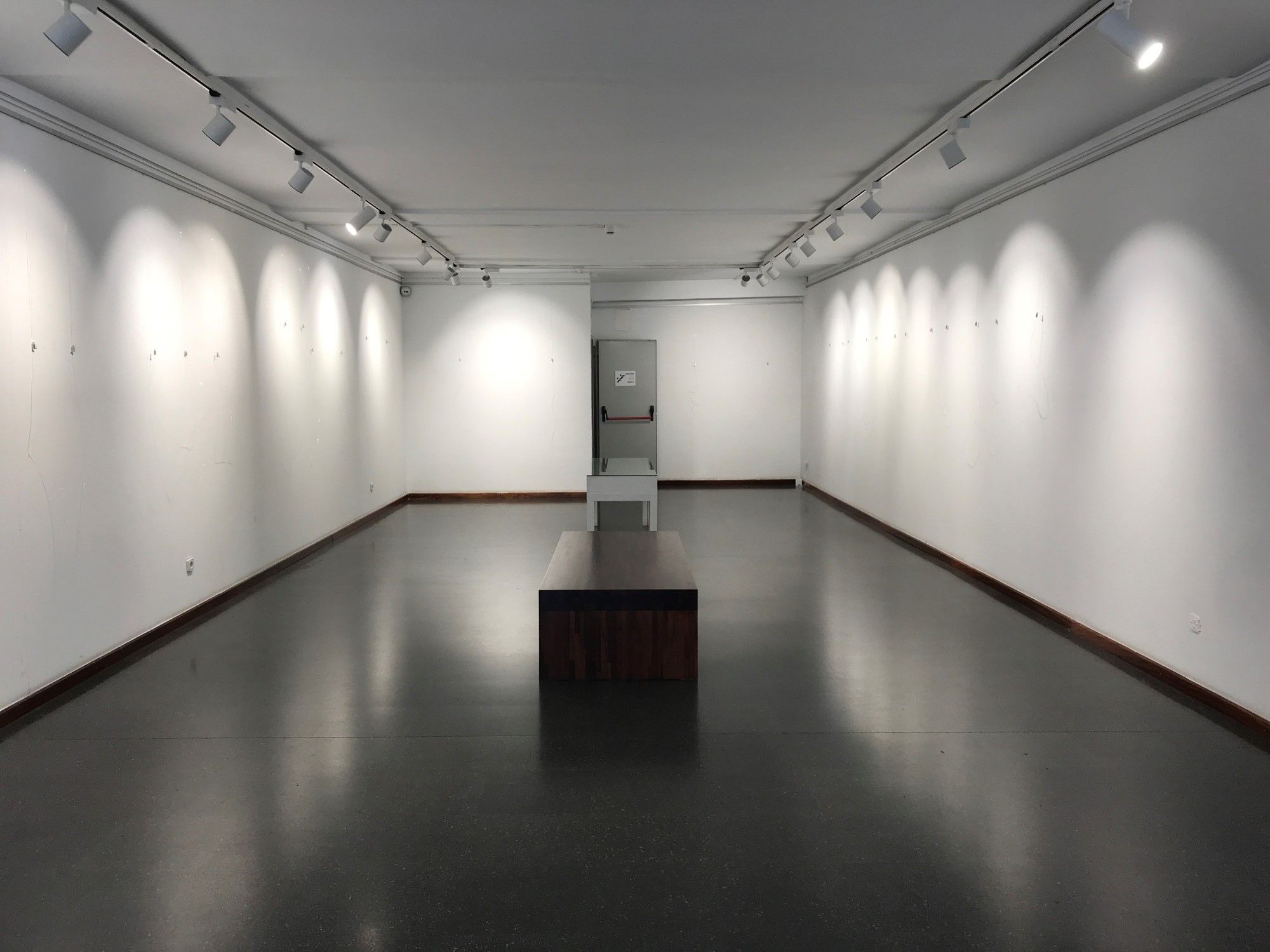 Sala Academia belles arts5-low.jpg