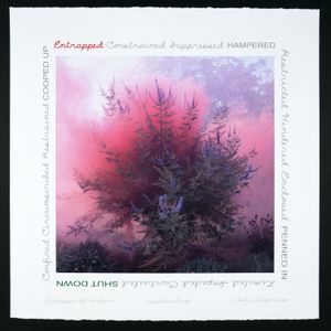 02 Judy Chicago - Entrapped by the Leaves DSC08436_2020.jpg