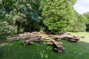 03.ElmoVermijs_ParliamentofTrees_Zone2Source_ThomasLenden_2022.jpg