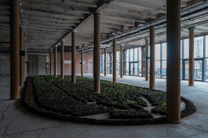 8. Chorus of Soil, 2023 © Binta Diaw - Liverpool Biennial at Tobacco Warehouse. Photo © Mark McNulty.jpg