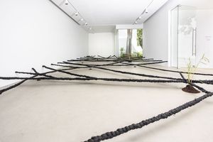 9. Dïà s p o r a, 2021 © Binta Diaw - Galerie Cécile Fakhoury. Photo © Issam Zejly.jpg