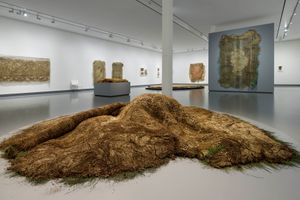 Farming Textiles 2023-24 _ Diana Scherer.jpg