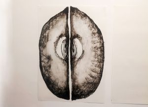 orbita 1.jpg