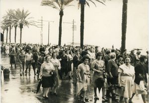 polvillo156.jpg