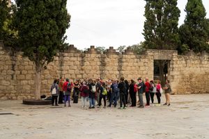 20240922_NoraAncarola_Walk_HelenaRoig_0194.jpg