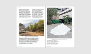 Biennial-3.jpg
